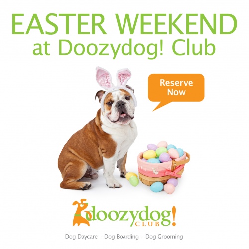 Reserve Now For Easter Weekend